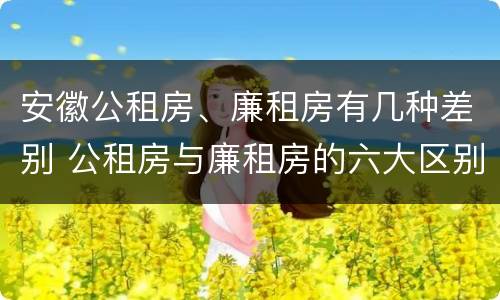 安徽公租房、廉租房有几种差别 公租房与廉租房的六大区别