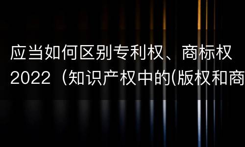 应当如何区别专利权、商标权2022（知识产权中的(版权和商标权与标准）