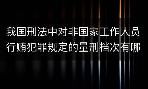 我国刑法中对非国家工作人员行贿犯罪规定的量刑档次有哪些