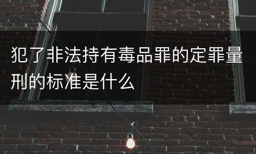 犯了非法持有毒品罪的定罪量刑的标准是什么