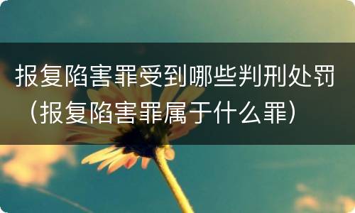 报复陷害罪受到哪些判刑处罚（报复陷害罪属于什么罪）
