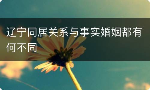 辽宁同居关系与事实婚姻都有何不同