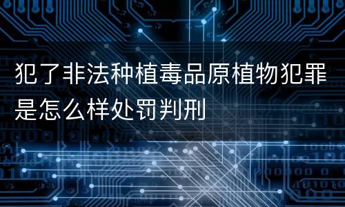 犯了非法种植毒品原植物犯罪是怎么样处罚判刑
