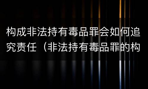 构成非法持有毒品罪会如何追究责任（非法持有毒品罪的构成要件）
