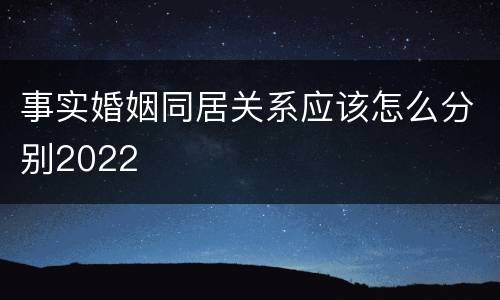 事实婚姻同居关系应该怎么分别2022