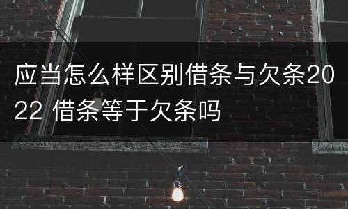 应当怎么样区别借条与欠条2022 借条等于欠条吗