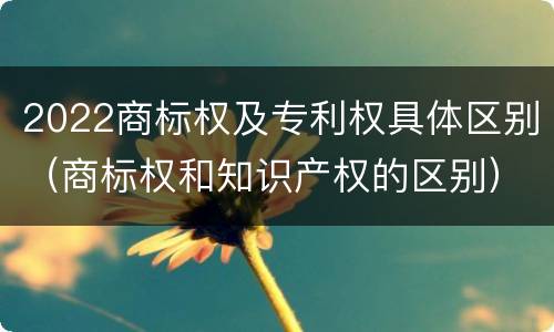 2022商标权及专利权具体区别（商标权和知识产权的区别）
