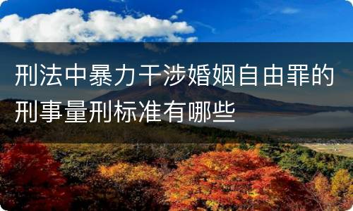 刑法中暴力干涉婚姻自由罪的刑事量刑标准有哪些