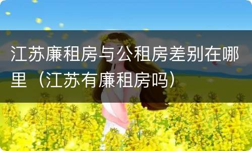 江苏廉租房与公租房差别在哪里（江苏有廉租房吗）