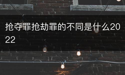 抢夺罪抢劫罪的不同是什么2022