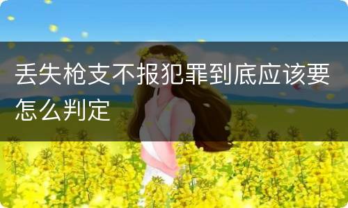 丢失枪支不报犯罪到底应该要怎么判定