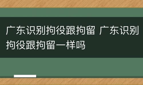 广东识别拘役跟拘留 广东识别拘役跟拘留一样吗