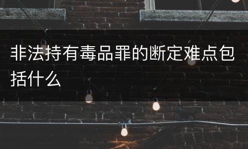 非法持有毒品罪的断定难点包括什么