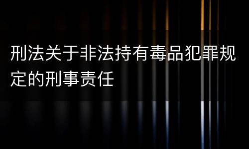刑法关于非法持有毒品犯罪规定的刑事责任