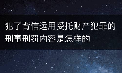 犯了背信运用受托财产犯罪的刑事刑罚内容是怎样的