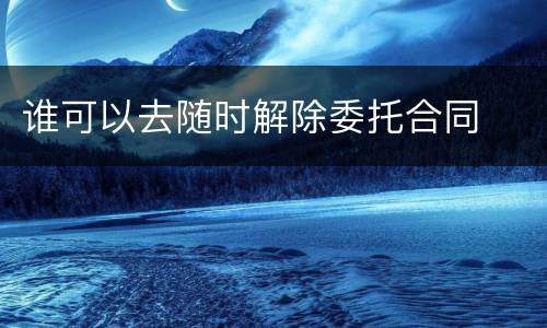 谁可以去随时解除委托合同