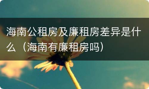 海南公租房及廉租房差异是什么（海南有廉租房吗）