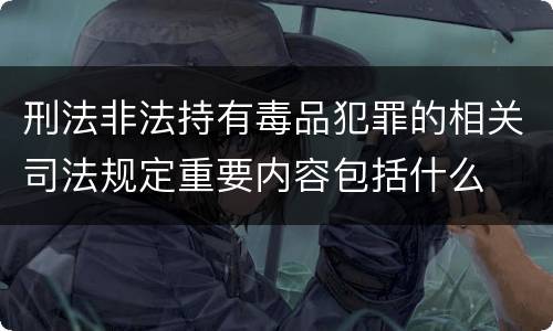 刑法非法持有毒品犯罪的相关司法规定重要内容包括什么