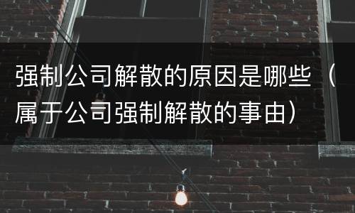 强制公司解散的原因是哪些（属于公司强制解散的事由）