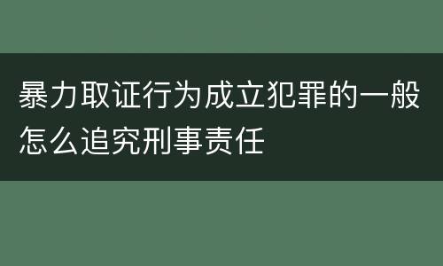 暴力取证行为成立犯罪的一般怎么追究刑事责任