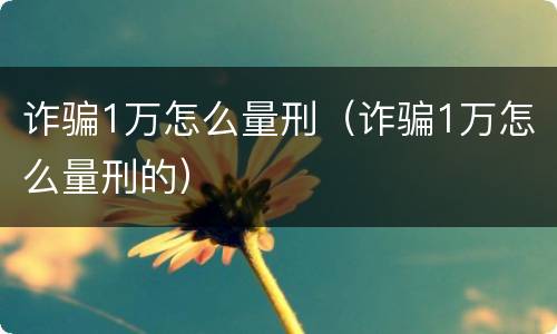 诈骗1万怎么量刑（诈骗1万怎么量刑的）