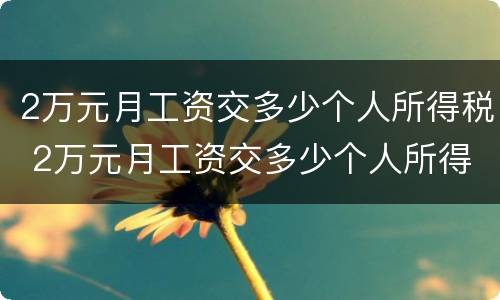 2万元月工资交多少个人所得税 2万元月工资交多少个人所得税呢