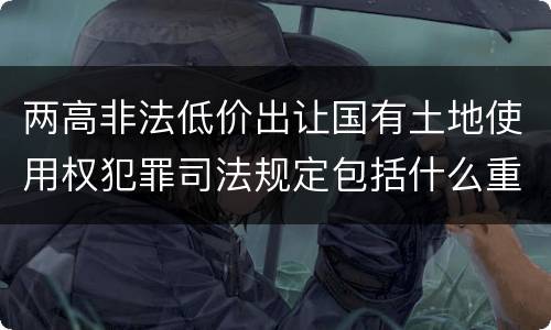 两高非法低价出让国有土地使用权犯罪司法规定包括什么重要内容