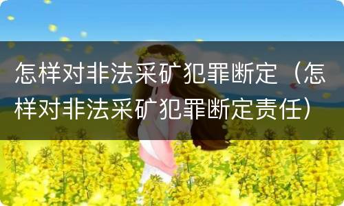 怎样对非法采矿犯罪断定（怎样对非法采矿犯罪断定责任）