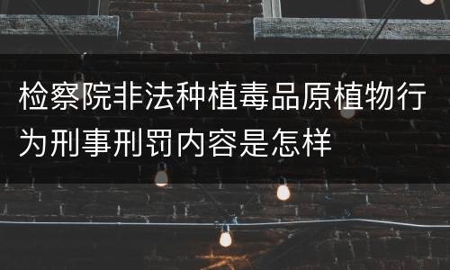 检察院非法种植毒品原植物行为刑事刑罚内容是怎样