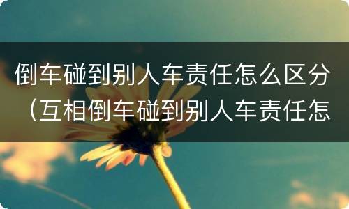 倒车碰到别人车责任怎么区分（互相倒车碰到别人车责任怎么区分）