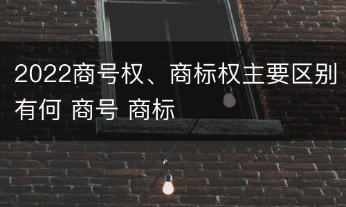 2022商号权、商标权主要区别有何 商号 商标
