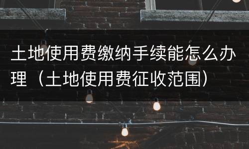 土地使用费缴纳手续能怎么办理（土地使用费征收范围）
