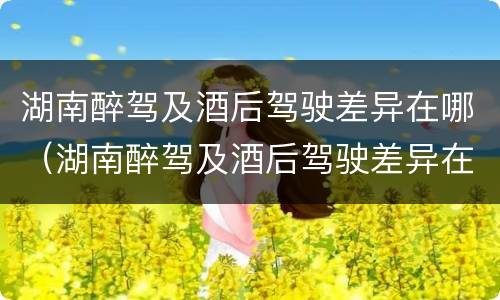 湖南醉驾及酒后驾驶差异在哪（湖南醉驾及酒后驾驶差异在哪查）