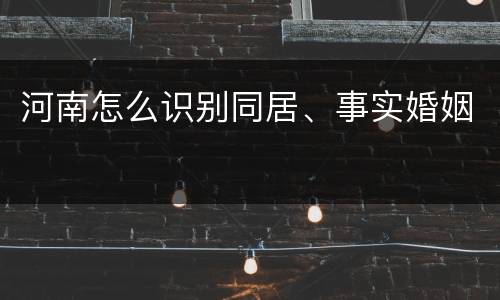 河南怎么识别同居、事实婚姻