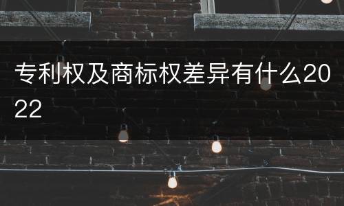 专利权及商标权差异有什么2022
