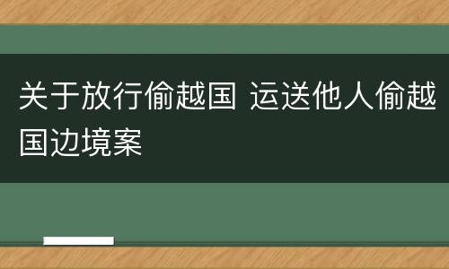 关于放行偷越国 运送他人偷越国边境案