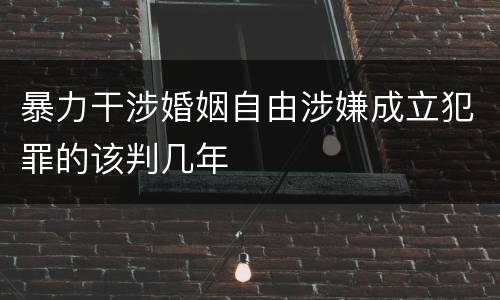 暴力干涉婚姻自由涉嫌成立犯罪的该判几年