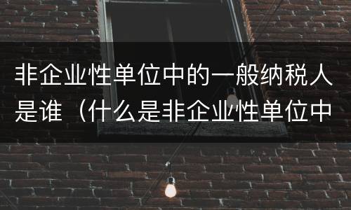 非企业性单位中的一般纳税人是谁（什么是非企业性单位中的一般纳税人）