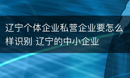 辽宁个体企业私营企业要怎么样识别 辽宁的中小企业