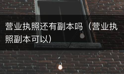 营业执照还有副本吗（营业执照副本可以）