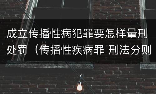 成立传播性病犯罪要怎样量刑处罚（传播性疾病罪 刑法分则）