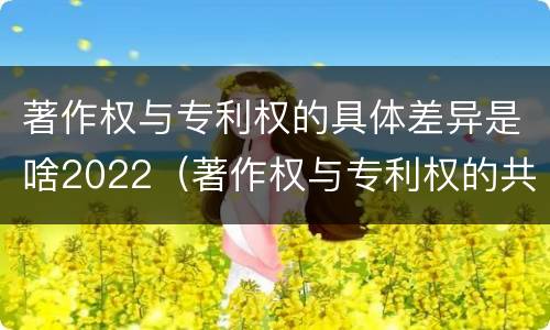 著作权与专利权的具体差异是啥2022（著作权与专利权的共性有）