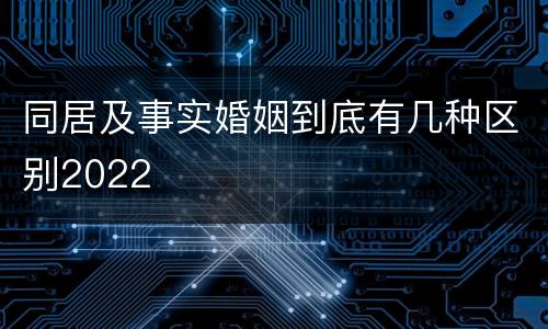 同居及事实婚姻到底有几种区别2022