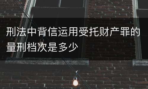刑法中背信运用受托财产罪的量刑档次是多少