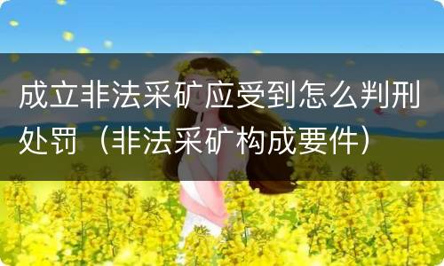 成立非法采矿应受到怎么判刑处罚（非法采矿构成要件）