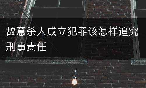 故意杀人成立犯罪该怎样追究刑事责任