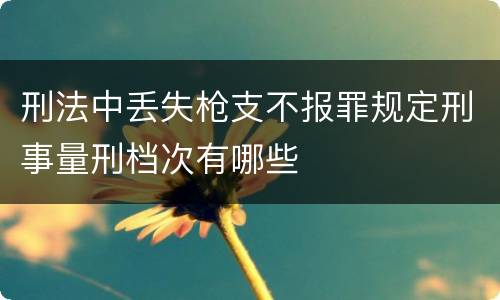 刑法中丢失枪支不报罪规定刑事量刑档次有哪些