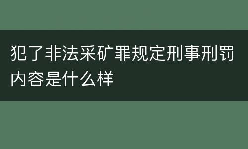 犯了非法采矿罪规定刑事刑罚内容是什么样