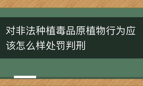 对非法种植毒品原植物行为应该怎么样处罚判刑