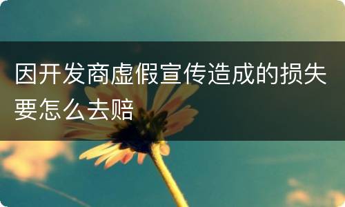 因开发商虚假宣传造成的损失要怎么去赔